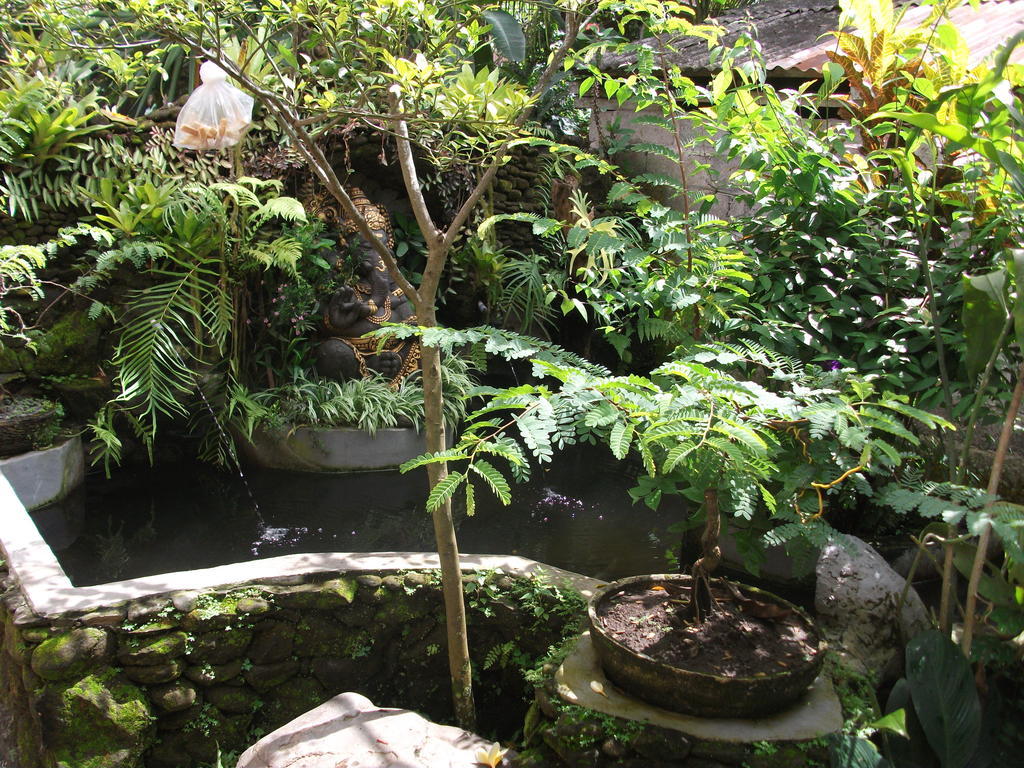 Arsa Homestay & Spa Ubud Zewnętrze zdjęcie